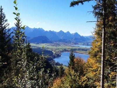 Apartment Ferienwohnung in Halblech - Environment photo 33