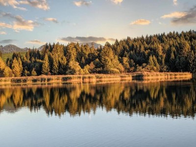 Apartment Ferienwohnung in Halblech - Environment photo 34