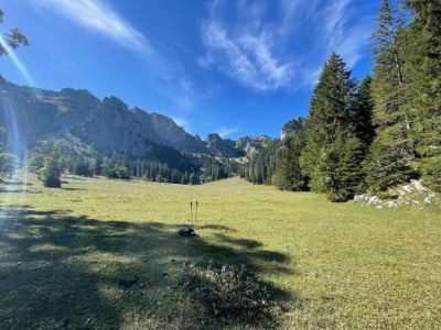 Apartment Ferienwohnung in Halblech - Environment photo 36