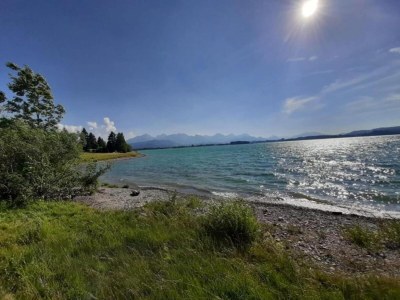 Apartment Ferienwohnung in Halblech - Environment photo 37