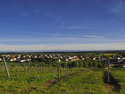 Apartment Ferienhaus in Markdorf mit Pool - Environment photo 23