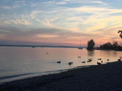 Apartment Ferienhaus in Markdorf mit Pool - Environment photo 29