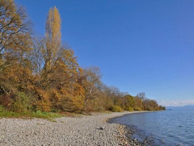 Apartment Ferienhaus in Markdorf mit Pool - Environment photo 30