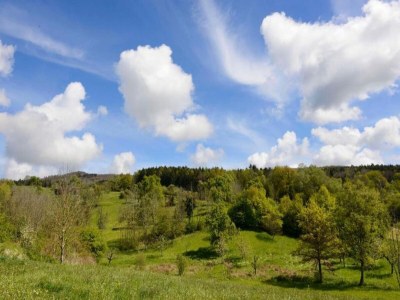 Apartment Ferienhaus in Markdorf mit Pool - Environment photo 34