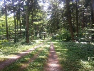 Apartment Ferienhaus in Markdorf mit Pool - Environment photo 35