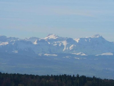 Apartment Ferienhaus in Markdorf mit Pool - Environment photo 37