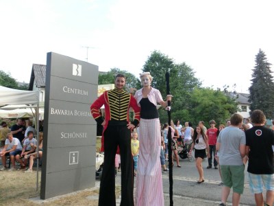 Holiday house Ferienhaus in der Nähe der Skipiste - Environment photo 26