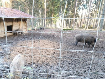 Holiday house Ferienhaus in der Nähe der Skipiste - Outdoor photo 29