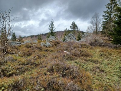 Holiday house Ferienhaus in der Nähe der Skipiste - Outdoor photo 31