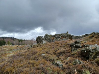 Holiday house Ferienhaus in der Nähe der Skipiste - Outdoor photo 33