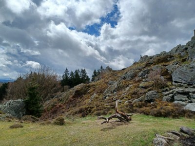 Holiday house Ferienhaus in der Nähe der Skipiste - Outdoor photo 35