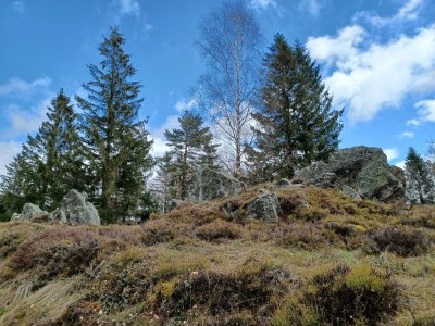 Holiday house Ferienhaus in der Nähe der Skipiste - Outdoor photo 36