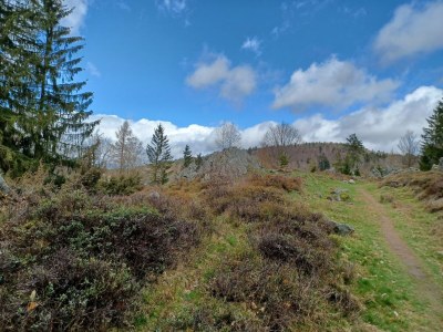 Holiday house Ferienhaus in der Nähe der Skipiste - Outdoor photo 40