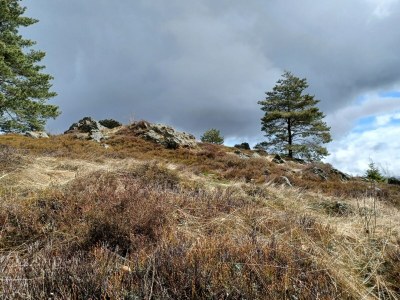 Holiday house Ferienhaus in der Nähe der Skipiste - Outdoor photo 46