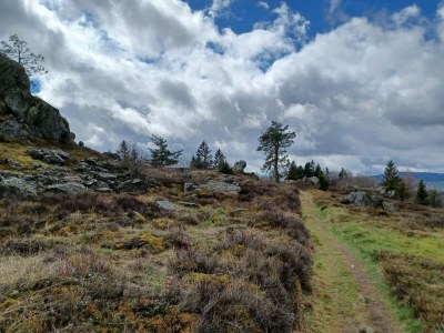 Holiday house Schönes Ferienhaus mit großem Garten bei Stadlern - Outdoor photo 28