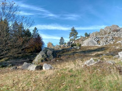 Holiday house Schönes Ferienhaus mit großem Garten bei Stadlern - Outdoor photo 29