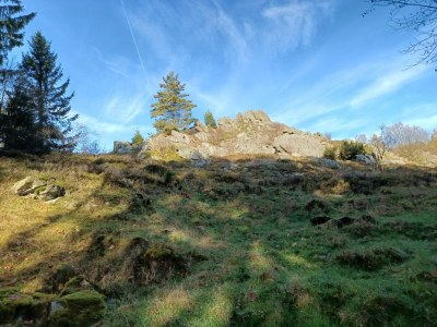 Holiday house Schönes Ferienhaus mit großem Garten bei Stadlern - Outdoor photo 30