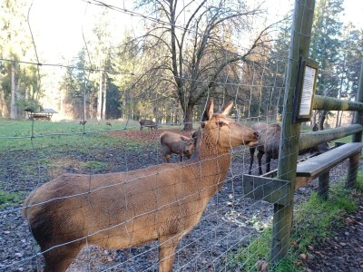 Holiday house Schönes Ferienhaus mit großem Garten bei Stadlern - Outdoor photo 31