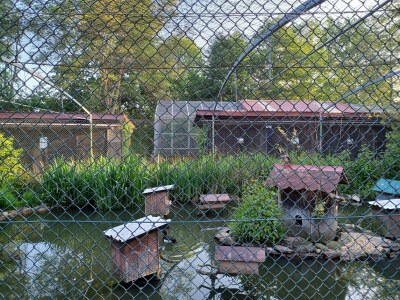 Holiday house Schönes Ferienhaus mit großem Garten bei Stadlern - Outdoor photo 32
