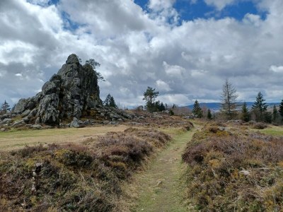 Holiday house Schönes Ferienhaus mit großem Garten bei Stadlern - Outdoor photo 34
