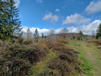 Holiday house Schönes Ferienhaus mit großem Garten bei Stadlern - Outdoor photo 37