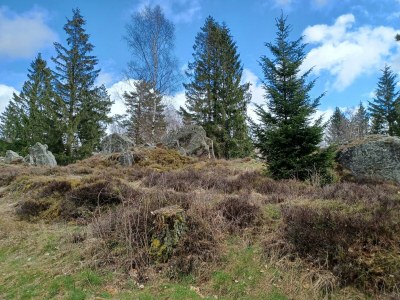 Holiday house Schönes Ferienhaus mit großem Garten bei Stadlern - Outdoor photo 42