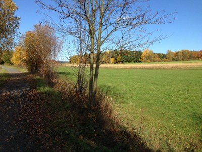 Holiday house Ferienhaus in Tännesberg für 4 Personen - Environment photo 9