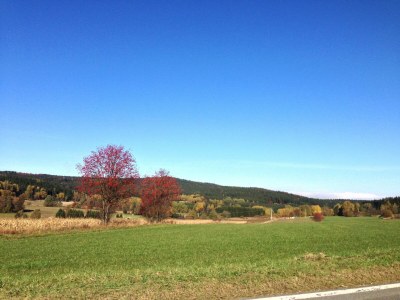Holiday house Ferienhaus in Tännesberg für 4 Personen - Environment photo 13