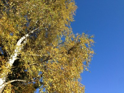 Holiday house Ferienhaus in Tännesberg für 4 Personen - Environment photo 15