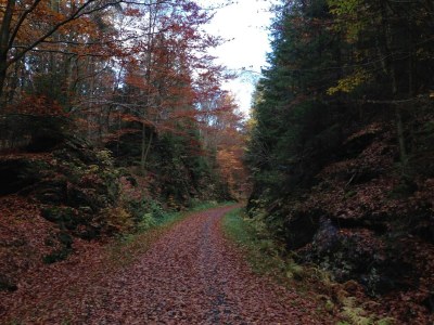 Holiday house Ferienhaus in Tännesberg für 4 Personen - Environment photo 16