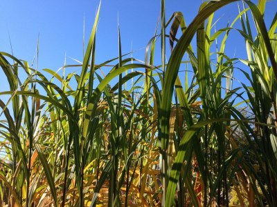 Holiday house Ferienhaus in Tännesberg für 4 Personen - Environment photo 17