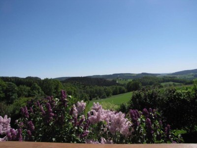 Holiday house Ferienhaus in Tännesberg für 4 Personen - Environment photo 23