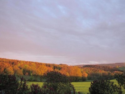 Holiday house Ferienhaus in Tännesberg für 4 Personen - Environment photo 24