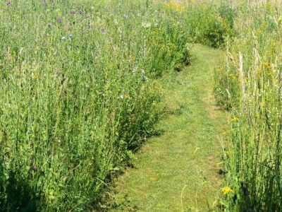 Holiday house Ferienhaus in Tännesberg für 4 Personen - Environment photo 27