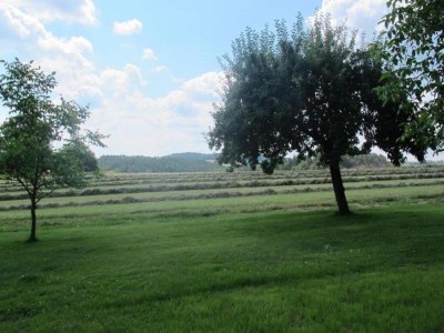 Holiday house Ferienhaus in Tännesberg für 4 Personen - Environment photo 29