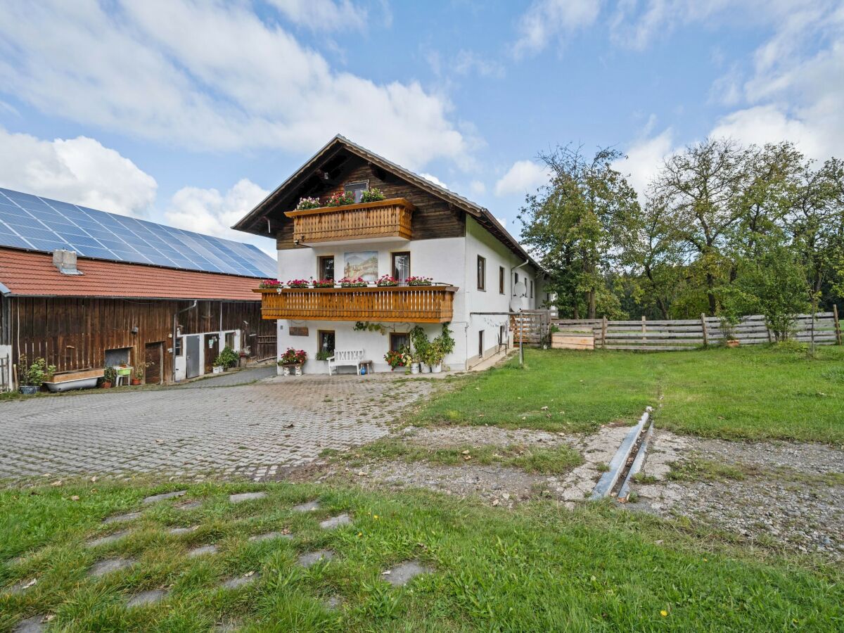 Farmhouse Wohnung in Neukirchen mit Skifahren & Pool - Outdoor photo 3