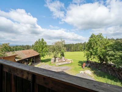 Farmhouse Wohnung in Neukirchen mit Skifahren & Pool - Outdoor photo 8