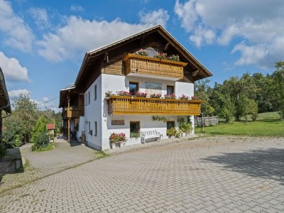 Farmhouse Wohnung in Neukirchen mit Skifahren & Pool - Outdoor photo 10