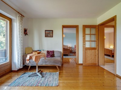 Farmhouse Wohnung in Neukirchen mit Skifahren & Pool - Features photo 12