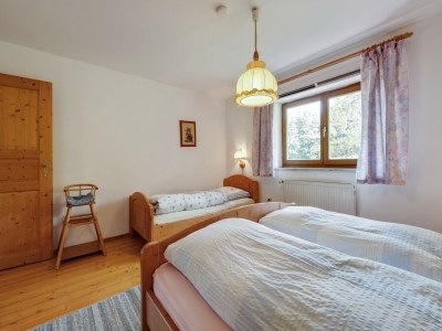 Farmhouse Wohnung in Neukirchen mit Skifahren & Pool - Features photo 16