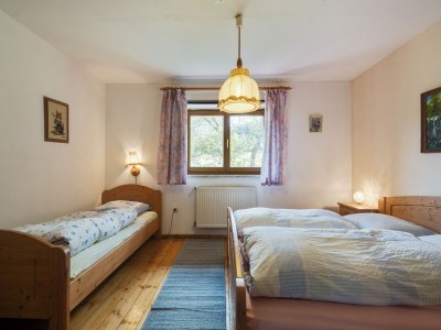 Farmhouse Wohnung in Neukirchen mit Skifahren & Pool - Features photo 18