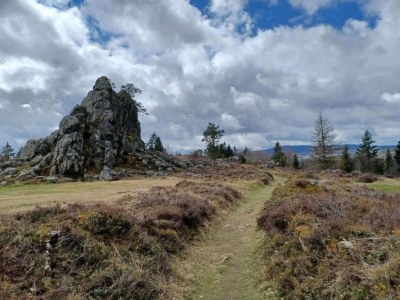 Farmhouse Wohnung in Neukirchen mit Skifahren & Pool - Environment photo 25