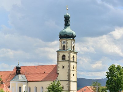 Farmhouse Wohnung in Neukirchen mit Skifahren & Pool - Environment photo 28