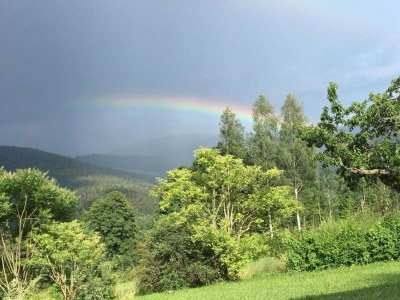 Farmhouse Bauernhof in Spandlberg am Hohen Bogen - Environment photo 31