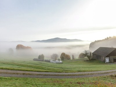 Holiday house Ferienhaus mit Garten in Waldnähe - Environment photo 25