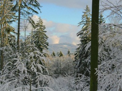 Holiday house Ferienhaus mit Garten in Waldnähe - Environment photo 32
