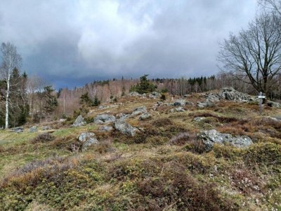 Holiday house Ferienhaus mit Garten in Waldnähe - Environment photo 34