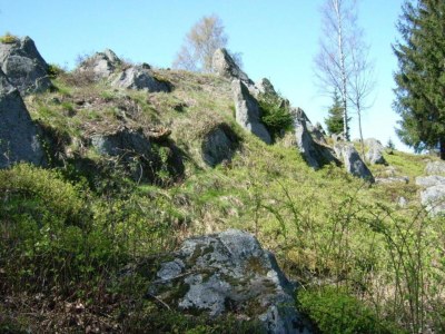 Holiday house Ferienhaus mit Garten in Waldnähe - Environment photo 37