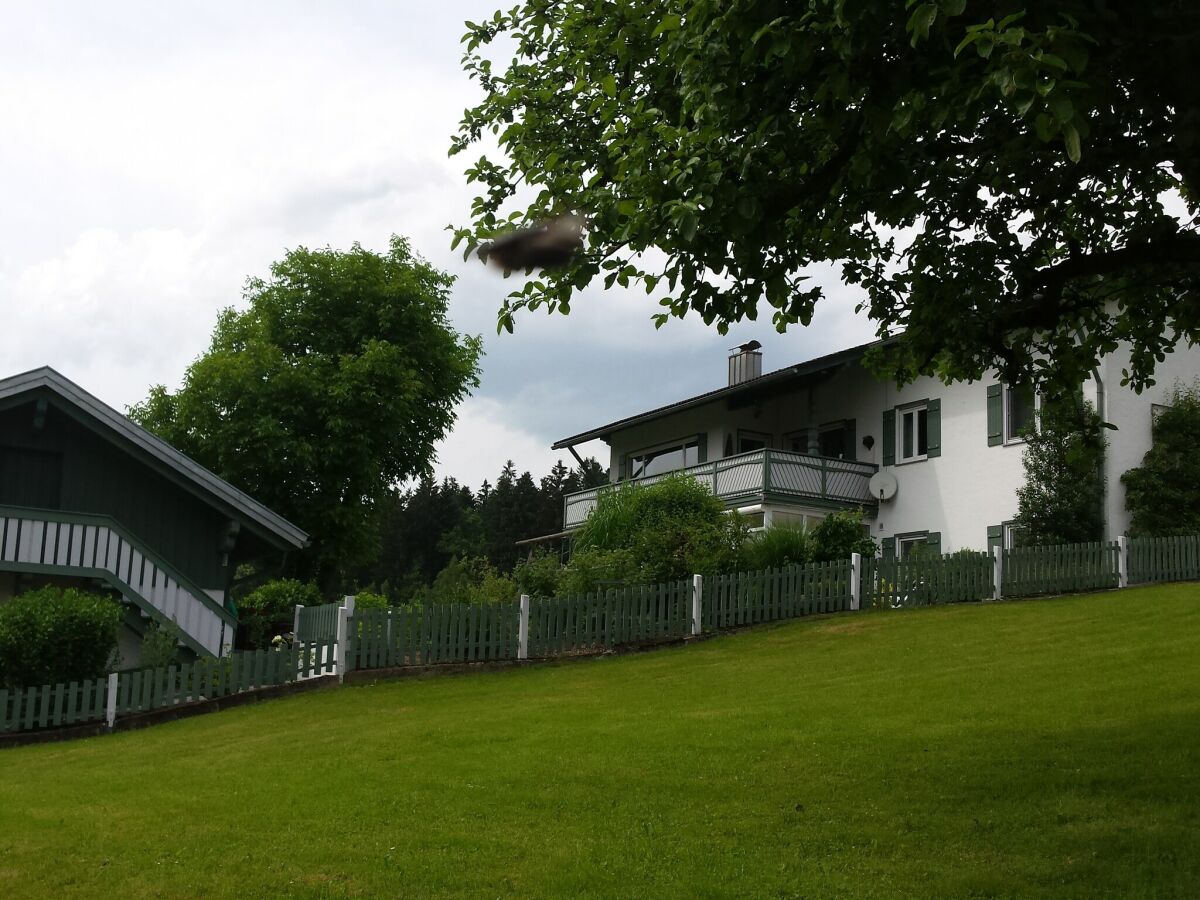 Apartment Modern Retreat in Nature - Outdoor photo 5