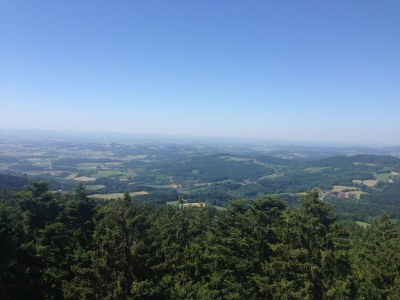 Apartment Modern Retreat in Nature - Environment photo 17